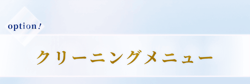option!クリーニングメニュー
