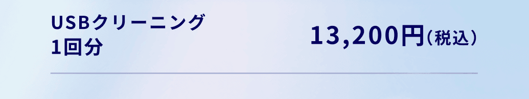 USBクリーニング1回分13,200円（税込）