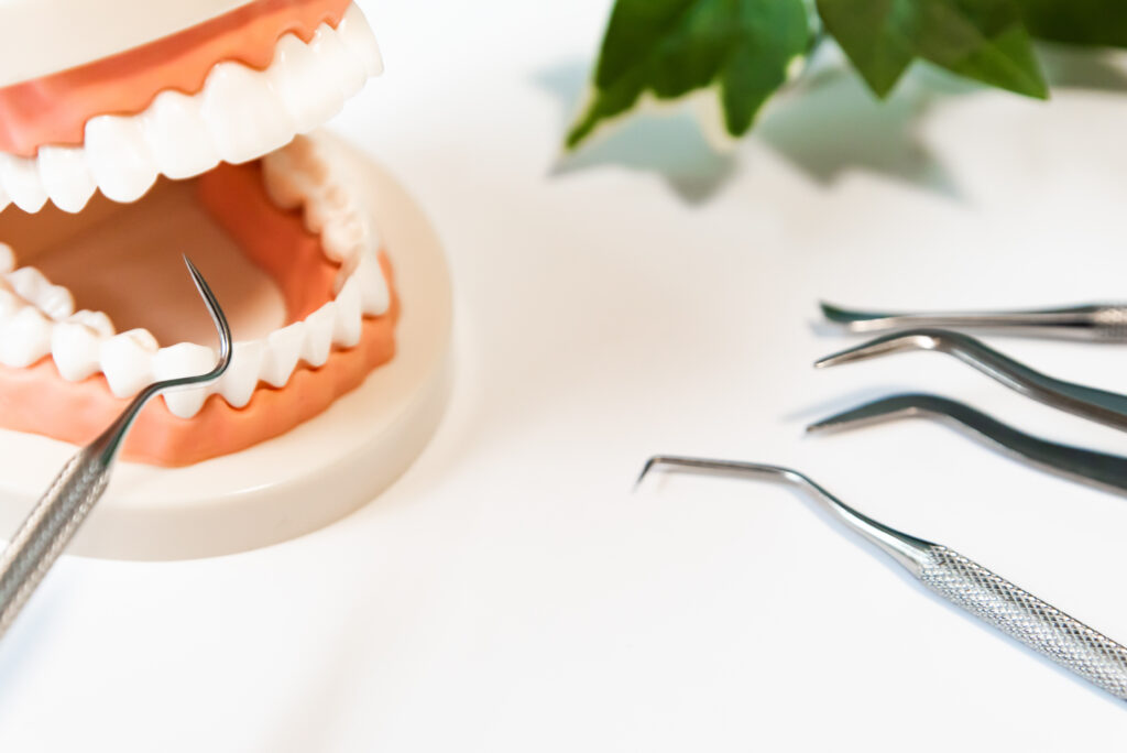 歯の模型と治療器具とグリーン