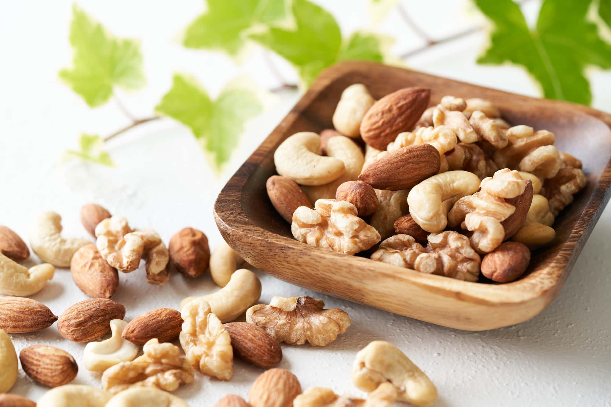 ラミネートベニアの歯の寿命が短くなる固い食べ物のナッツ